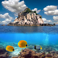 sea bed