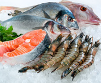 seafood