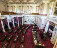 senate