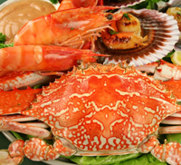 shellfish