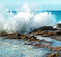 shore