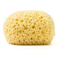 sponge