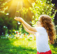 sunlight