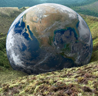 terrestrial