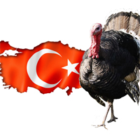 turkey