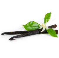 vanilla