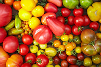 variety