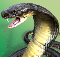 venomously