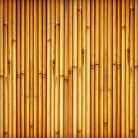 vertical