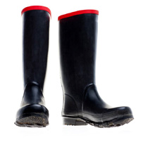 wellingtons