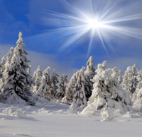 winter
