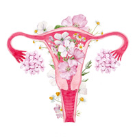 womb