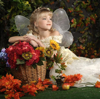 wonderland