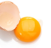yolk